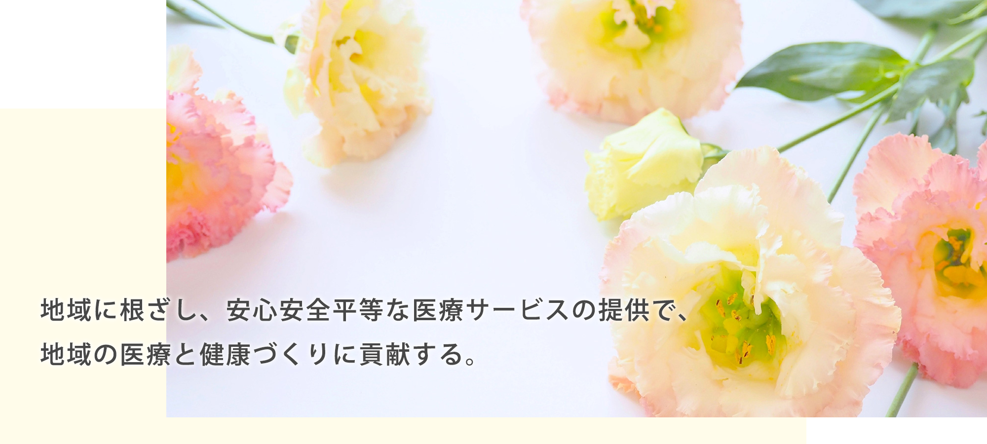 名護市宇茂佐の森 調剤薬局